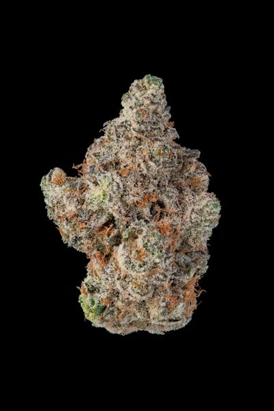 Purple Haze- Greenhouse