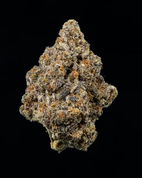 Gorilla Glue - Indoor