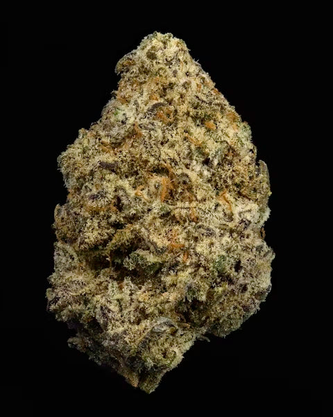 White widow - Indoor