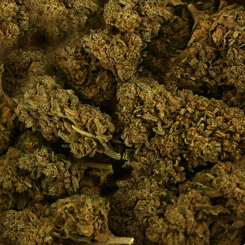 Fleur CBD Tonic Kush – fleur chanvre indoor arôme tonique kush premium | Euphoria Society