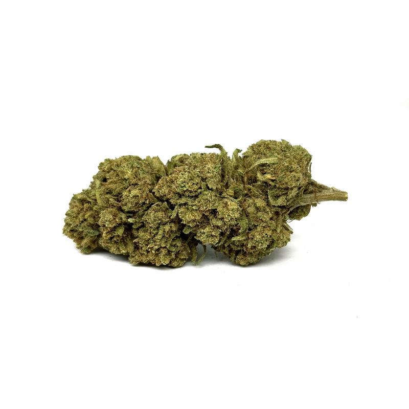 Fleur de CBD Amnesia Haze | Euphoria Society