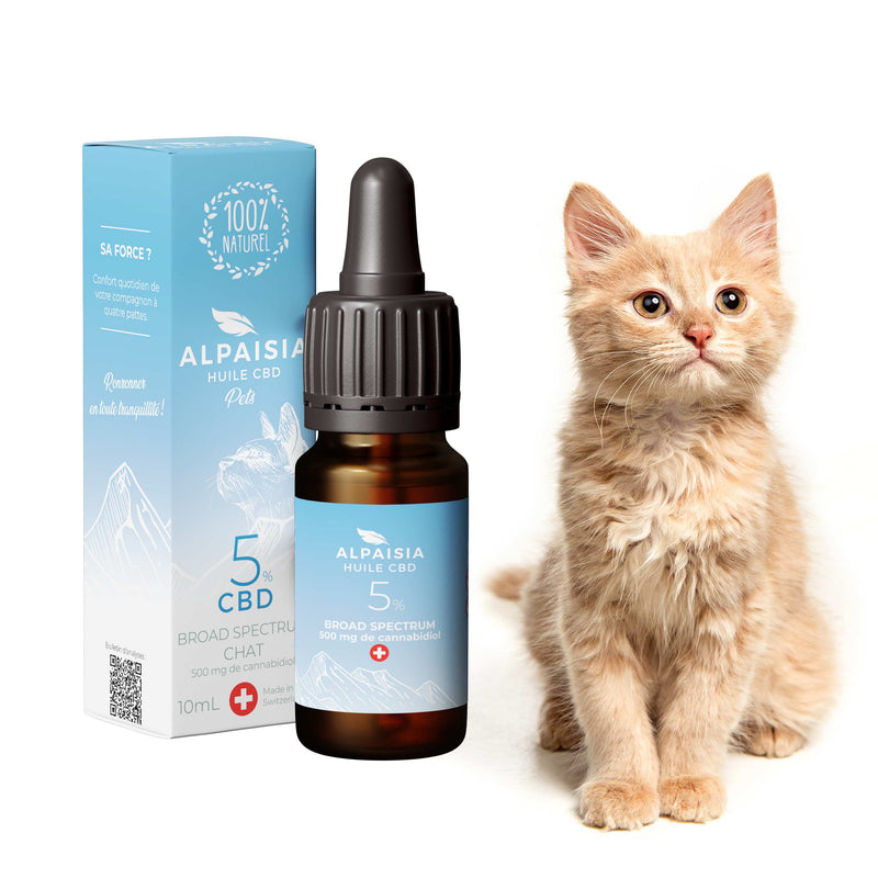 Huile CBD 5% broad spectrum chat Alpaisia – huile chanvre bien-être chats soin | Euphoria Society