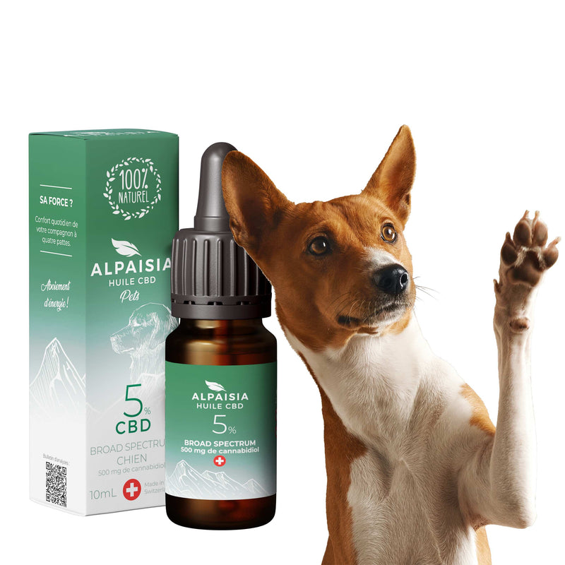 Huile CBD 5% broad spectrum chien Alpaisia – huile chanvre bien-être chiens soin | Euphoria Society