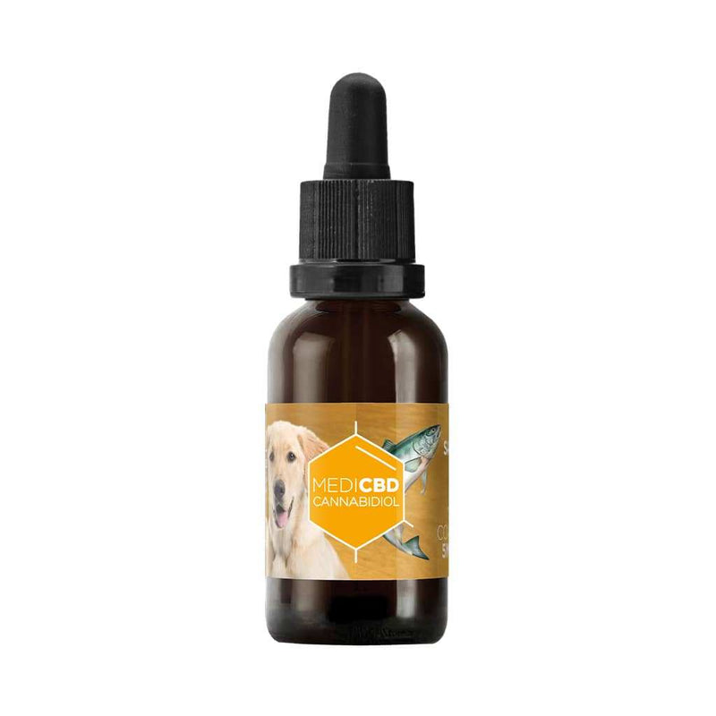 Huile CBD 10% chiens Medicbd – huile chanvre soin bien-être chiens qualité | Euphoria Society