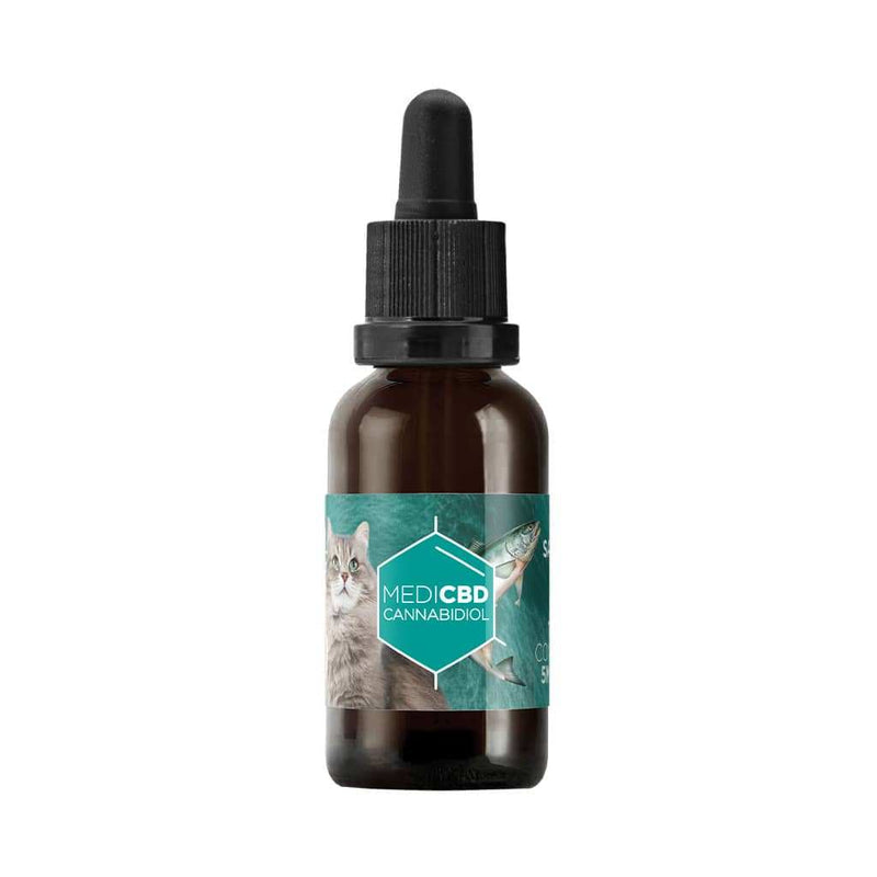 Huile CBD 10% chat Medicbd – huile chanvre soin bien-être chats qualité | Euphoria Society