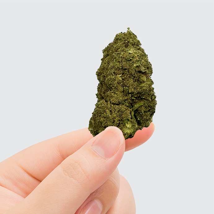 Fleur de CBD Pink Lady Kush – fleur chanvre CBD indica arômes fruités floraux | Euphoria Society