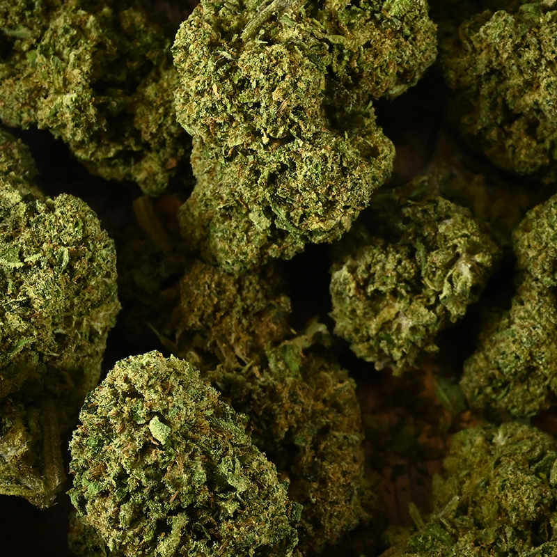 Fleur de CBD Bubblegum – fleur chanvre CBD arômes sucrés bubble-gum relaxante | Euphoria Society