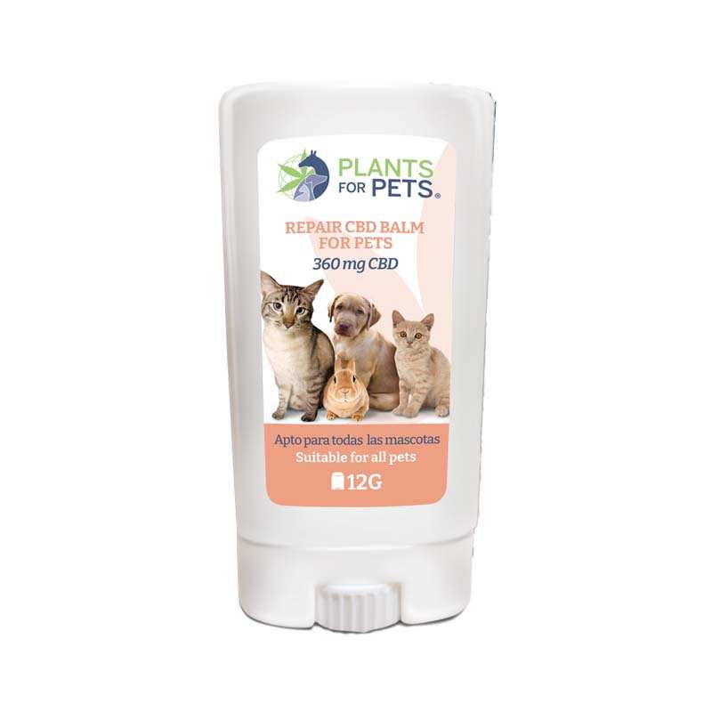 Baume CBD réparateur animaux light Plants for Pets – soin chanvre chien chat peau | Euphoria Society
