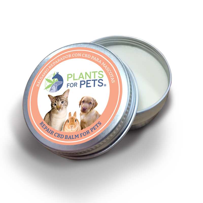 Baume CBD réparateur animaux strong Plants for Pets – soin chanvre intense chien chat | Euphoria Society