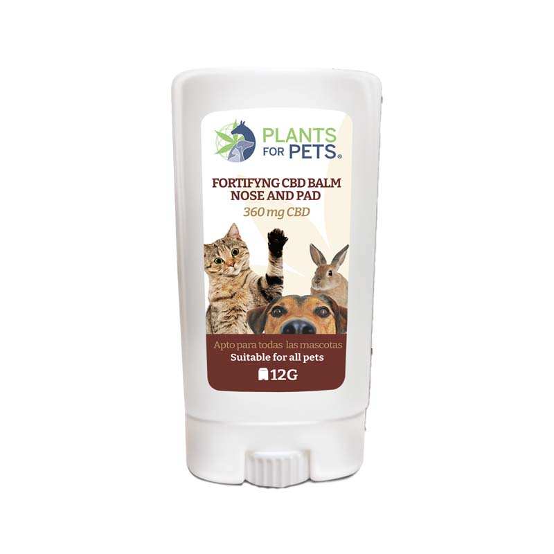 Baume CBD fortifiant animaux Plants for Pets – soin chanvre fortifiant chien chat | Euphoria Society