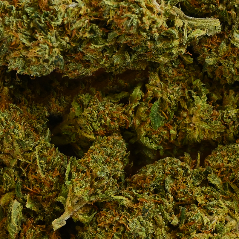 Fleur de CBD Sherbet | Euphoria Society