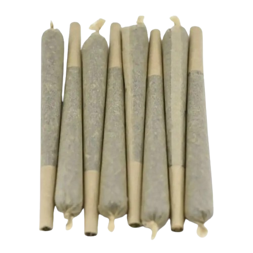 Infustick CBD Amnesia Haze 50 pcs | Euphoria Society