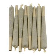 Infustick CBD Amnesia Haze 50 pcs | Euphoria Society