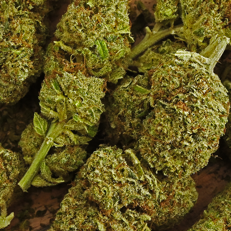Fleur de CBD OG Diamond – fleur chanvre CBD sativa arômes citrus diesel premium | Euphoria Society