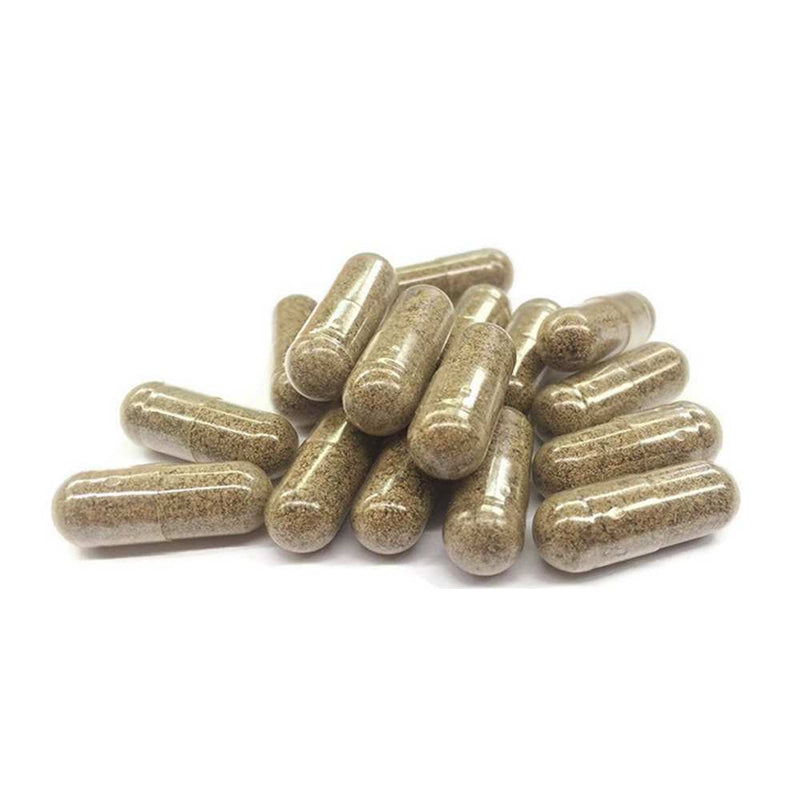 Gélule CBN & Champignons Sommeil Fungo Novaloa | Euphoria Society