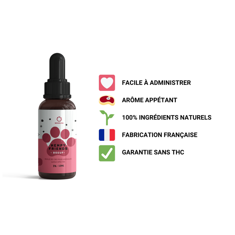 Huile CBD animaux 3% boeuf Novaloa – huile chanvre soin chien chat arôme boeuf | Euphoria Society
