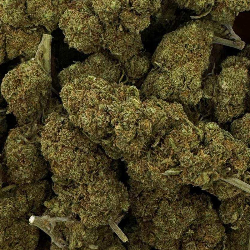 Fleur de CBD Blueberry – fleur chanvre CBD arômes myrtille sucrés relaxation indica | Euphoria Society