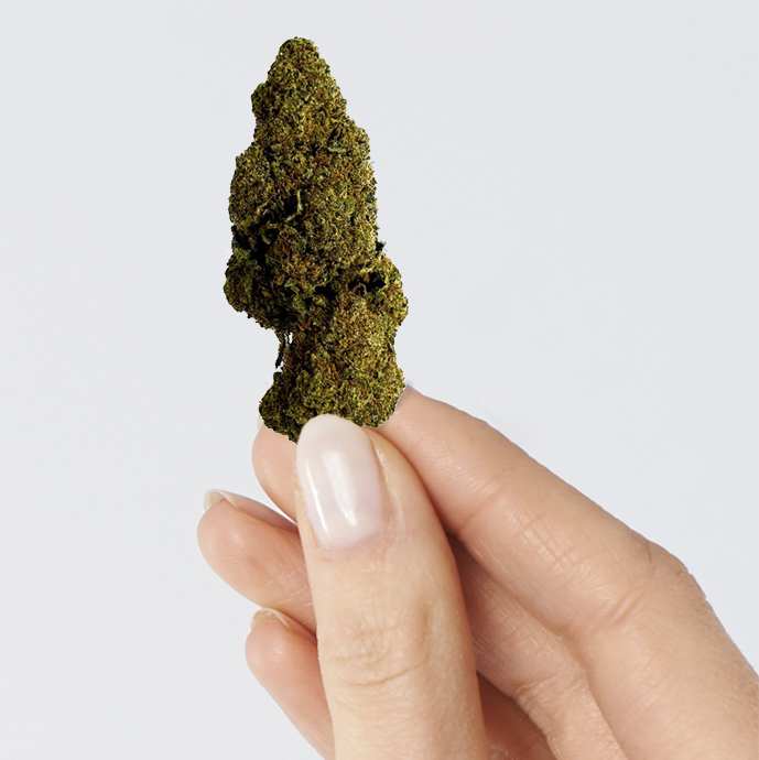 Fleur de CBD Raspberry Haze | Euphoria Society