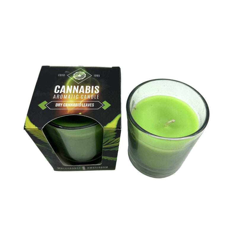 Bougie Parfumée Dry Cannabis Leaves Multitrance | Euphoria Society