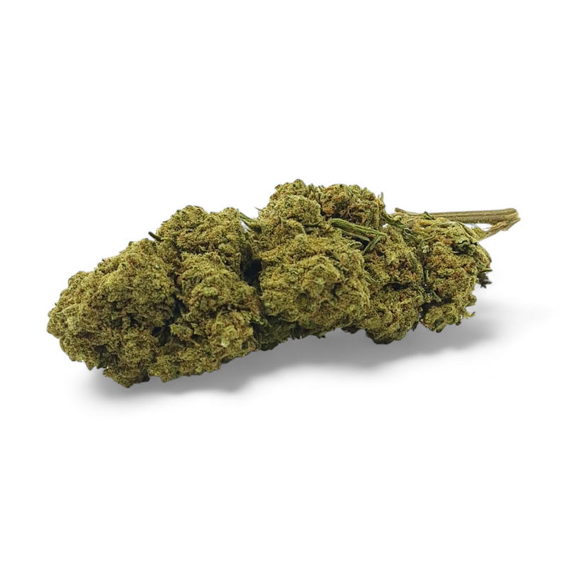 Fleur de CBD Harlequin Indoor Premium – fleur chanvre CBD indoor CBD élevé détente | Euphoria Society