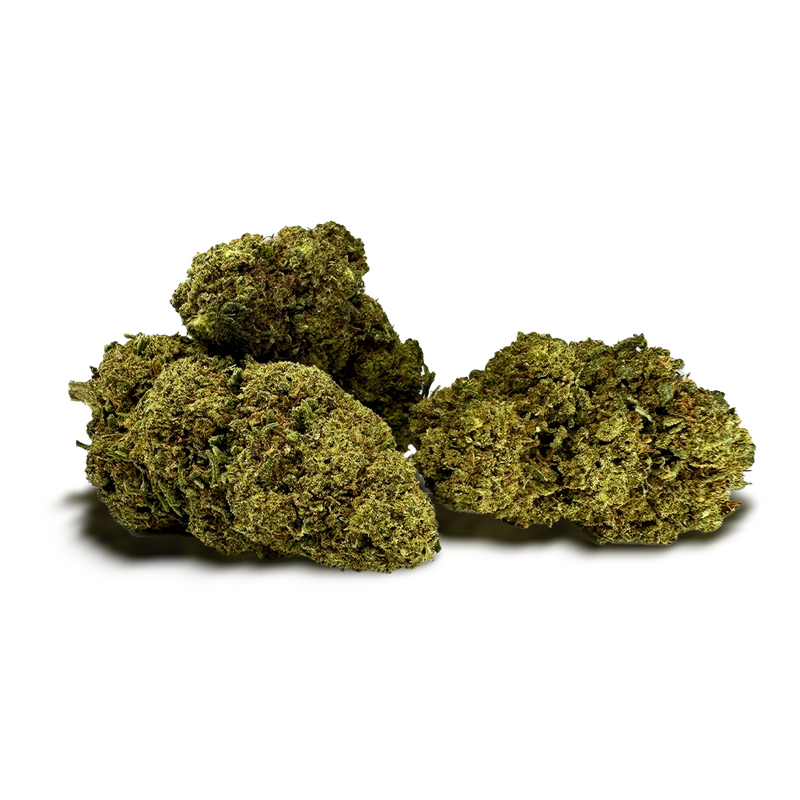 Fleur de CBD MCP-N 20% | Euphoria Society