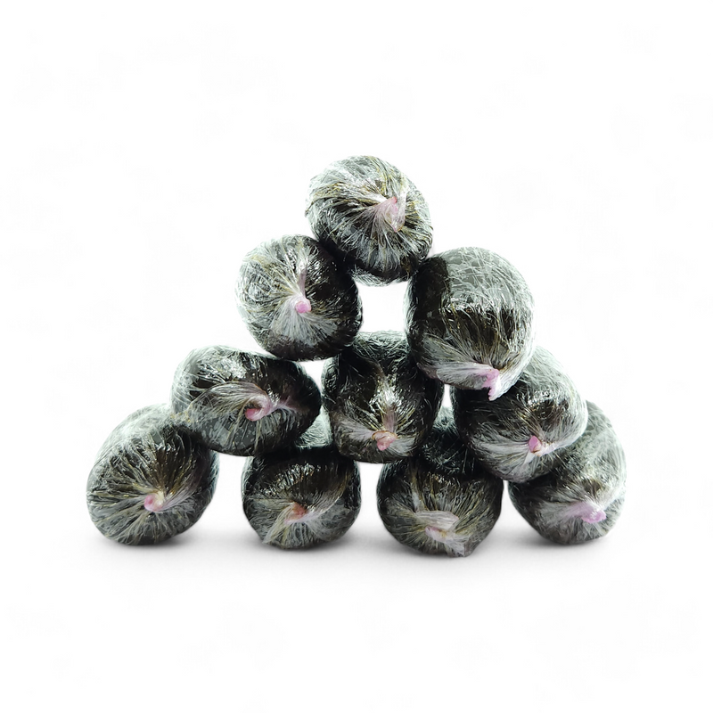 Olive Charas 30% MCPN 10g – charas chanvre MCP-N artisanal olive forme premium | Euphoria Society