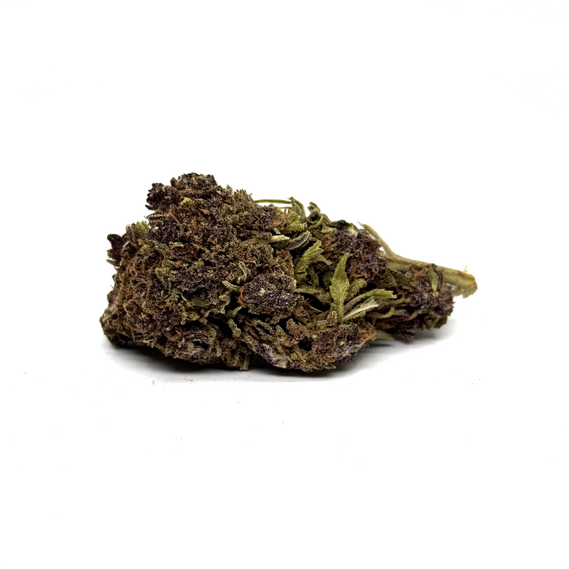 Fleur CBD Purple Haze 2.0 Premium Indoor – fleur chanvre CBD indoor Purple Haze arômes | Euphoria Society