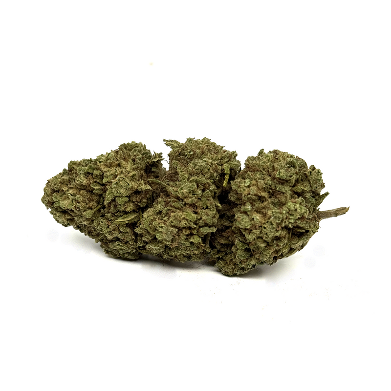 Fleur de CBD White Widow Greenhouse – fleur chanvre CBD White Widow hybride classique | Euphoria Society