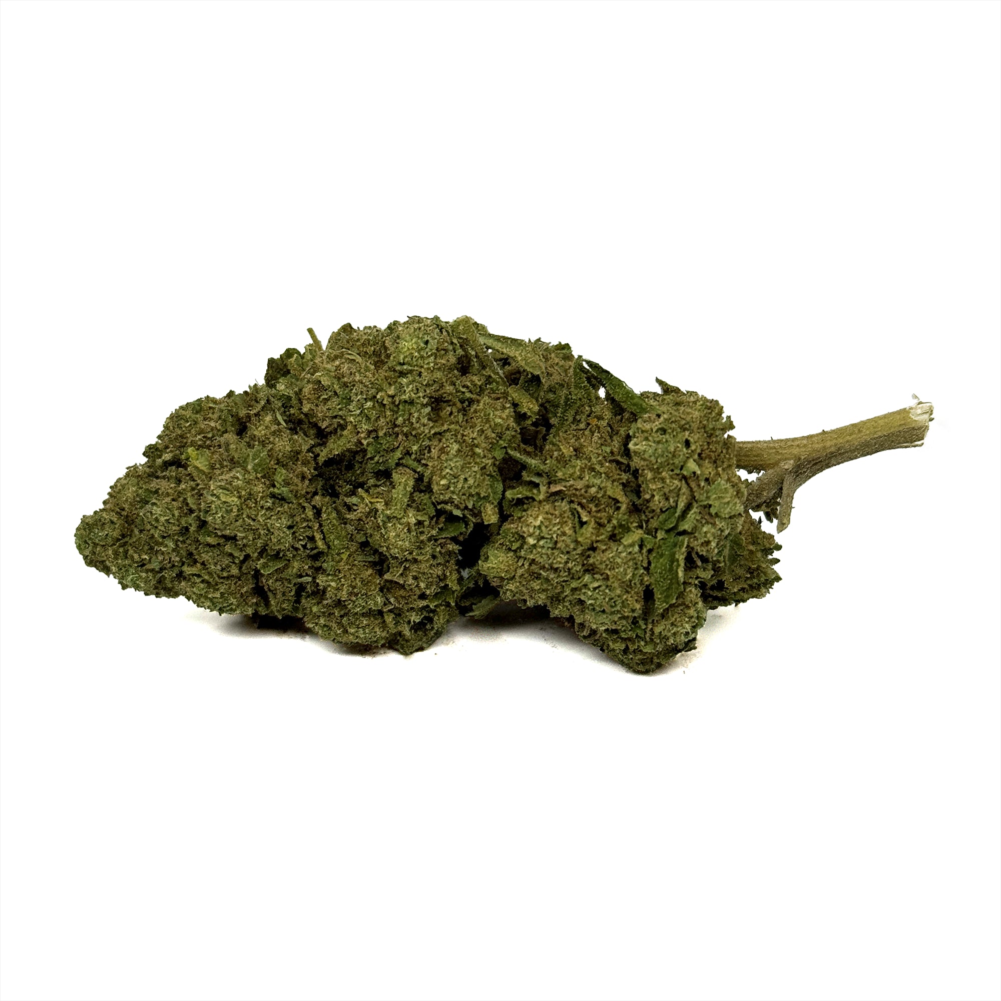 Fleur de CBD OG Kush Greenhouse