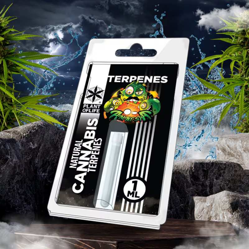Terpène Amnesia Plant of Life | Euphoria Society