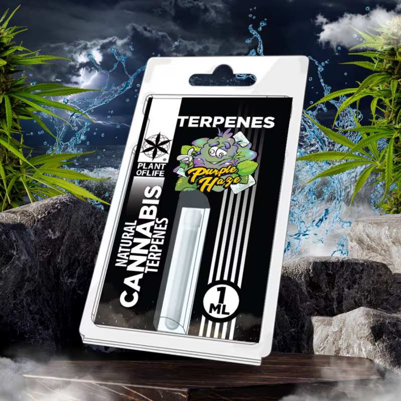 Terpène Purple Haze Plant of Life | Euphoria Society