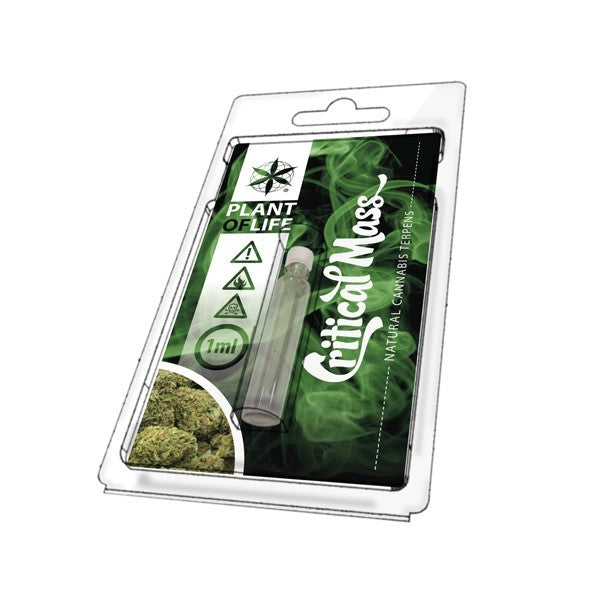 Terpène Critical Mass Plant of Life – extrait naturel arôme critical mass terpènes | Euphoria Society