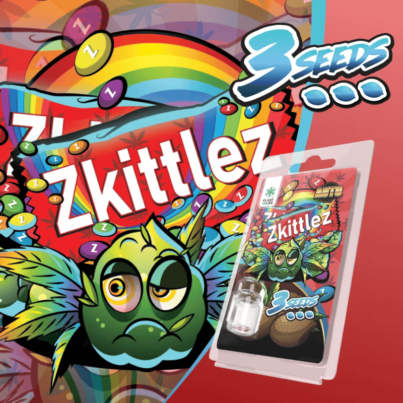 3 graines Zkittlez AUTO Plant of Life – graines chanvre féminisées autofloraison Zkittlez | Euphoria Society
