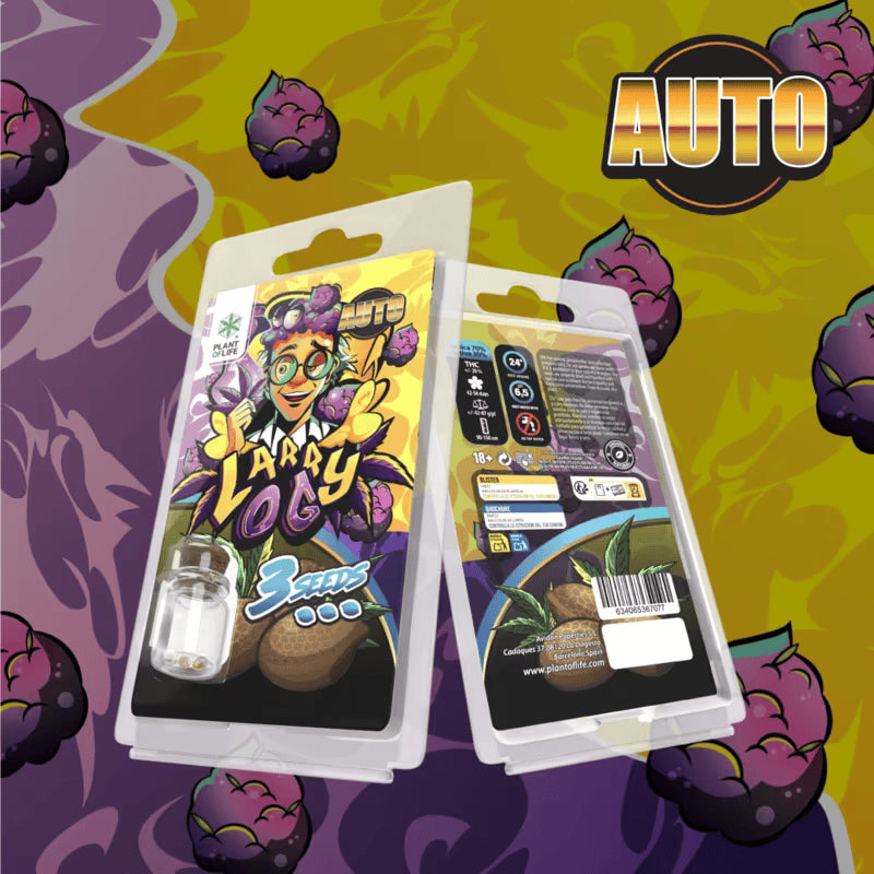 3 Graines Larry OG AUTO Plant of Life