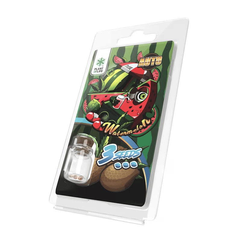 3 Graines Watermelon Auto Plant of Life | Euphoria Society
