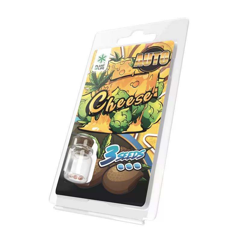 3 Graines Cheese Auto Plant of Life | Euphoria Society