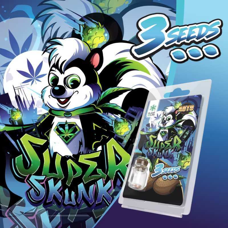 3 Graines Super Skunk Auto Plant of Life | Euphoria Society