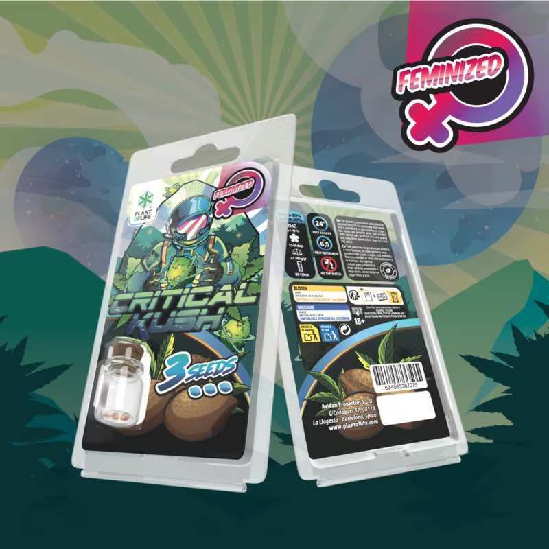 Graines Critical Kush Féminisées Plant of Life