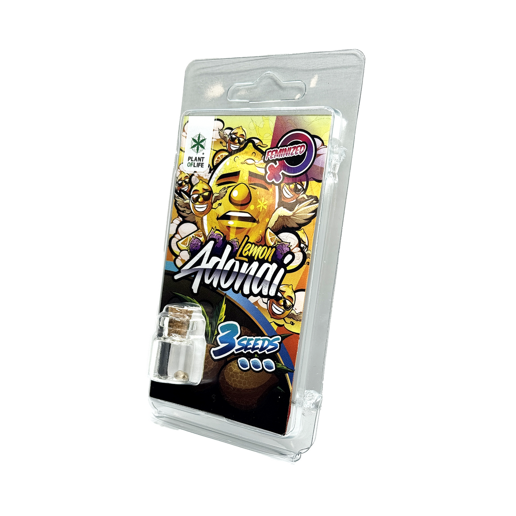 3 Graines Lemon Adonai FÉMINISÉE | Plant of Life