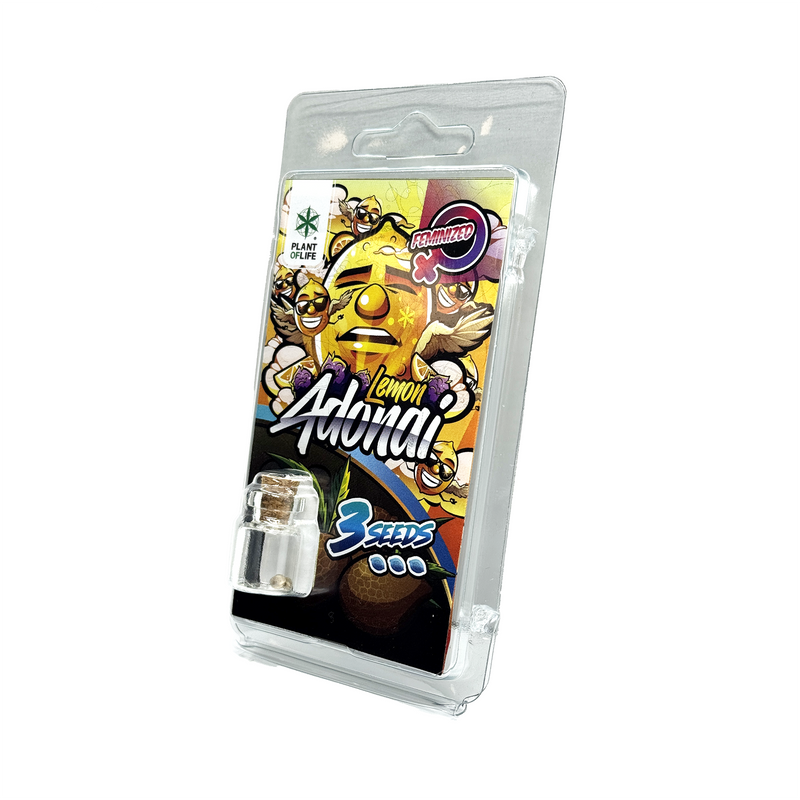 3 Graines Lemon Adonai Féminisée Plant of Life | Euphoria Society