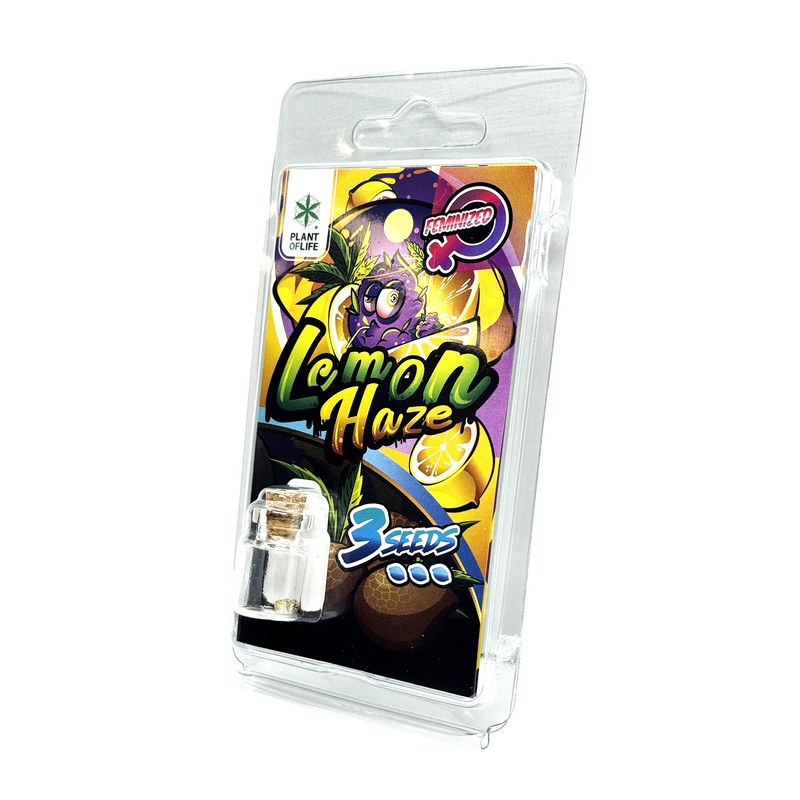 3 Graines Lemon Haze Féminisée Plant of Life | Euphoria Society