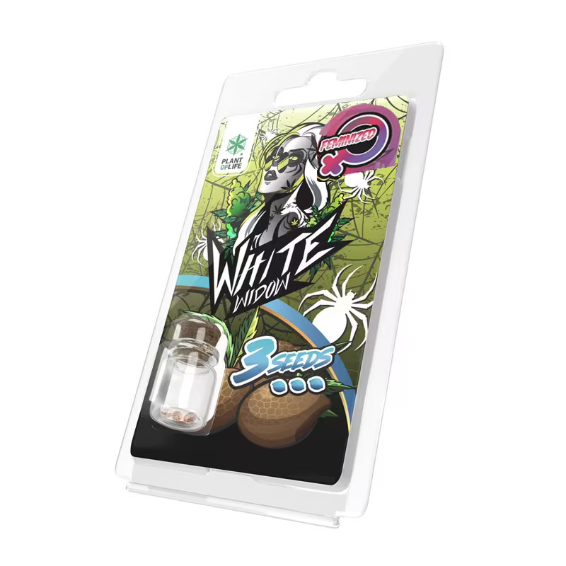 3 Graines White Widow Féminisée Plant of Life – graines chanvre féminisées white widow | Euphoria Society