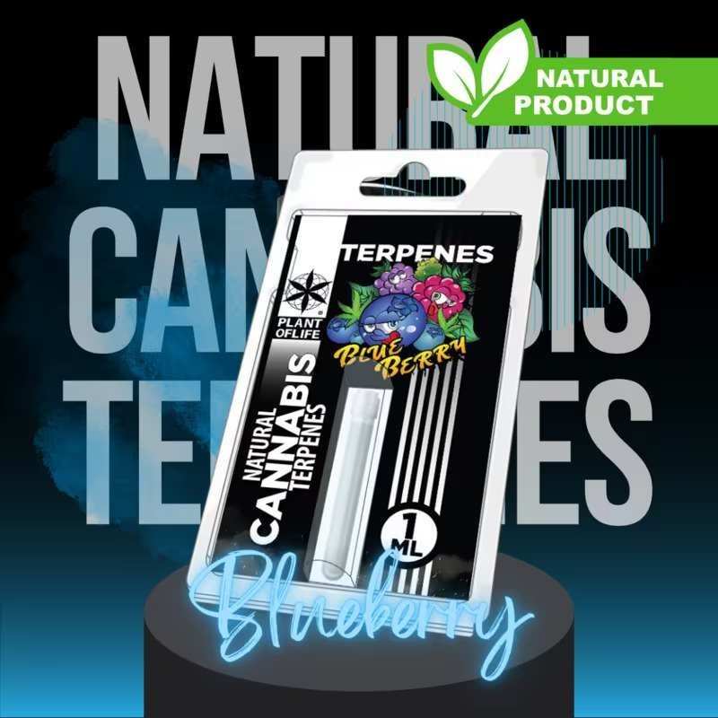 Terpène Blueberry Diesel Plant of Life | Euphoria Society