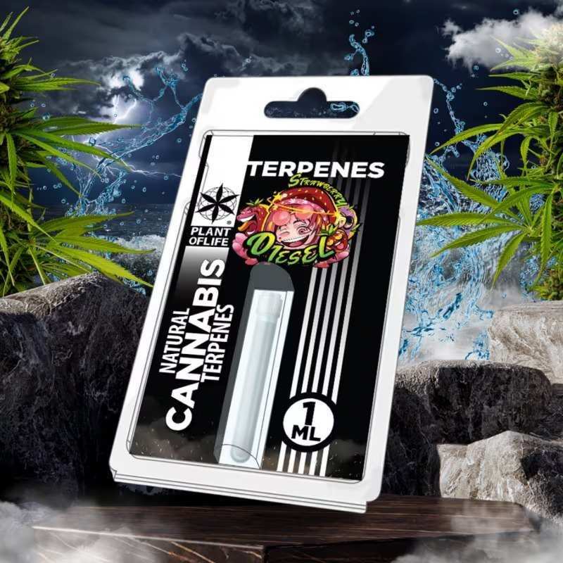 Terpène Strawberry Diesel Plant of Life | Euphoria Society