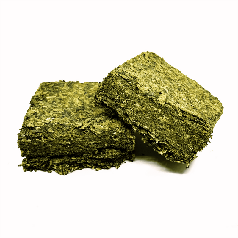 Canna Plaquette 50g Indoor | Euphoria Society