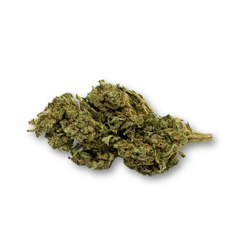 Déstockage Fleur de CBD Harlequin Indoor Quantité Limitée | Euphoria Society