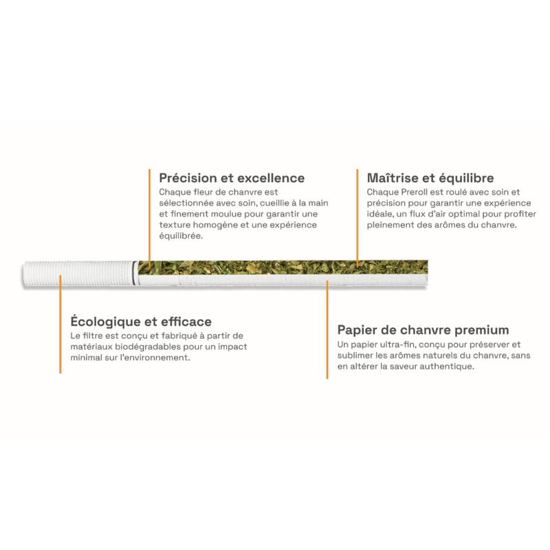 Cigarettes CBD Amnesia COAST | Euphoria Society