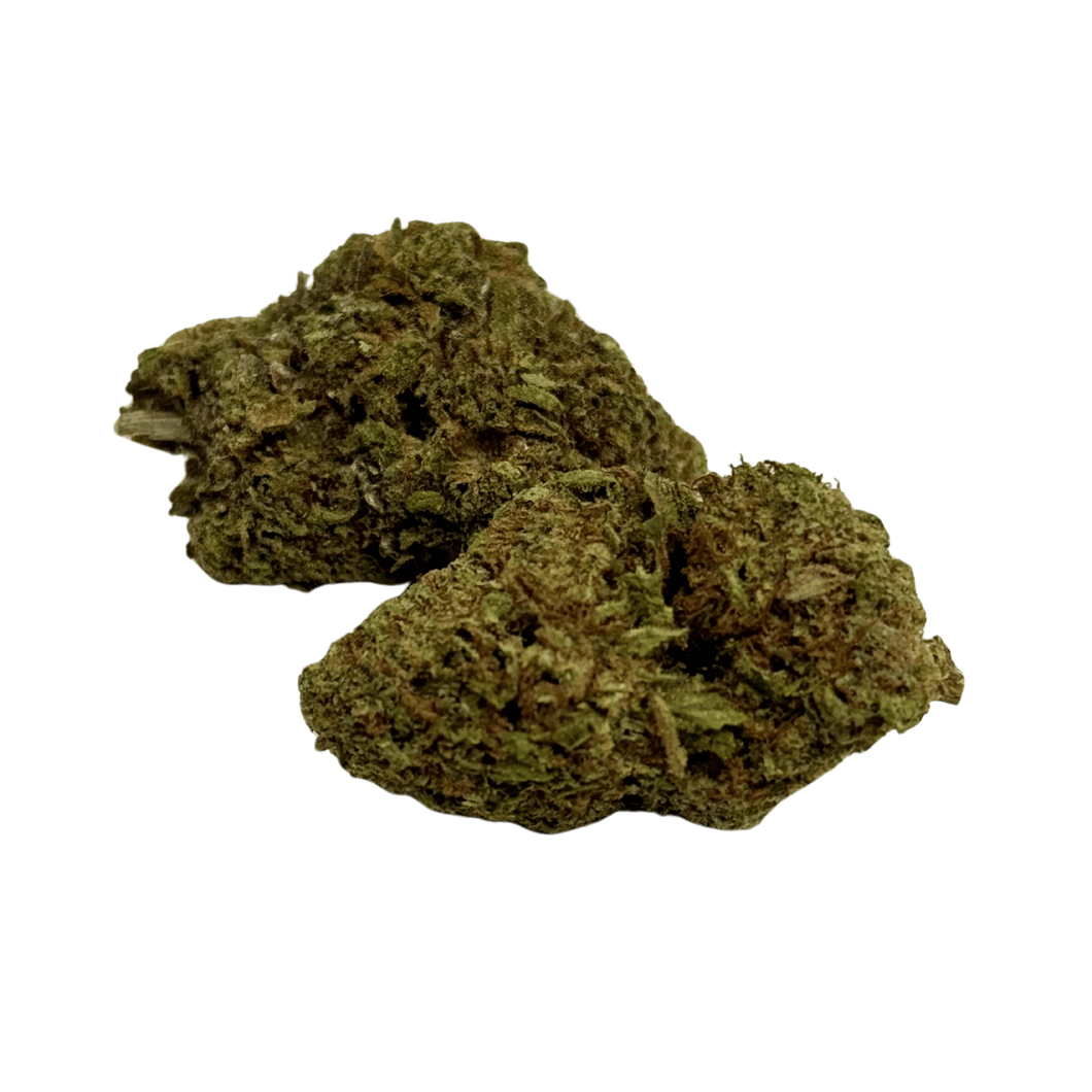Fleur Tropical Haze 2.0 CBDX (CBD Xtrem) NL-1 12,5% Indoor