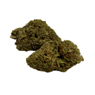 Fleur Tropical Haze 2.0 CBDX (CBD Xtrem) NL-1 12,5% Indoor