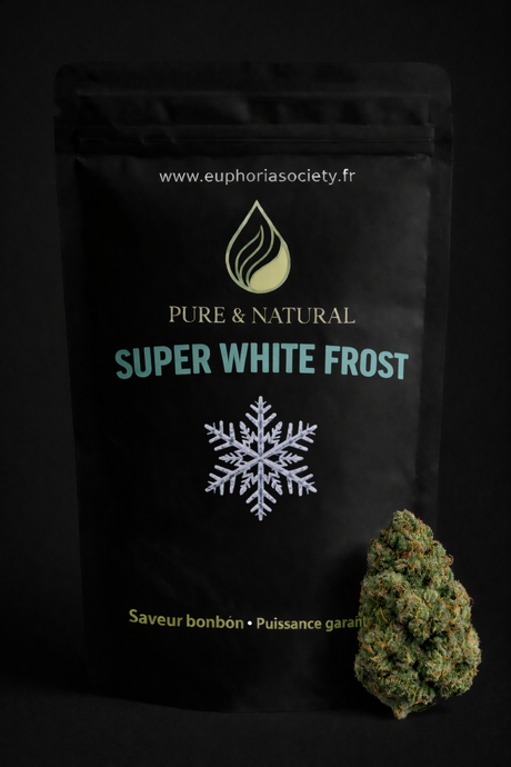 Fleur de CBD Super White Frost Greenhouse